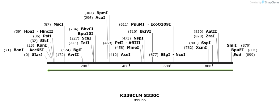 30385_map
