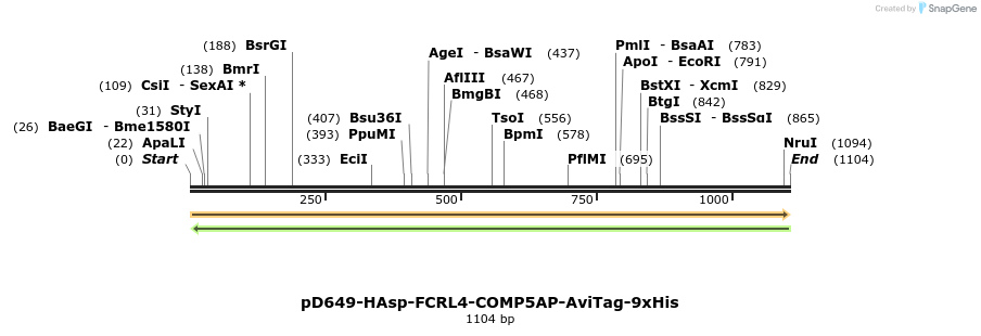 303850_map