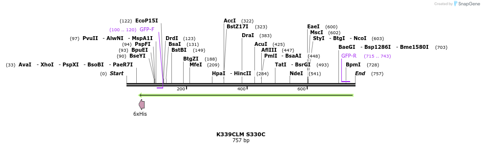 30386_map