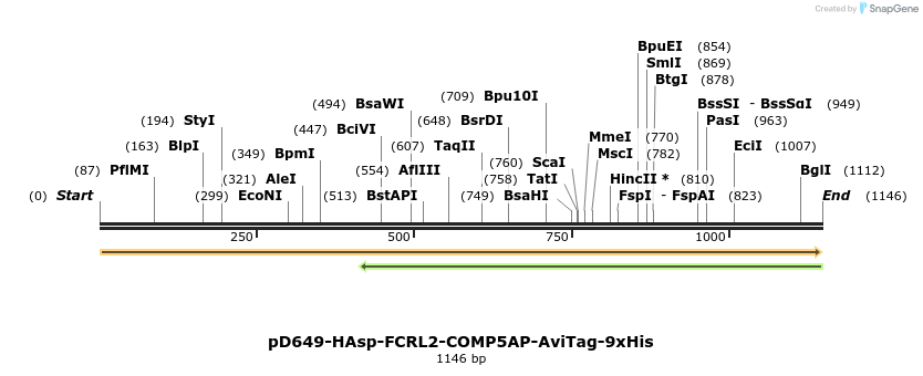 303862_map
