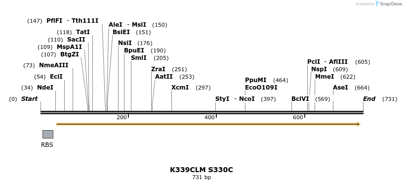 30387_map