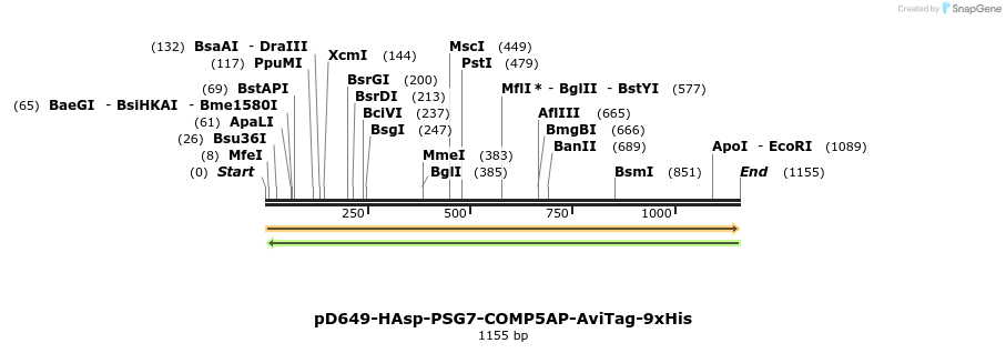 303872_map