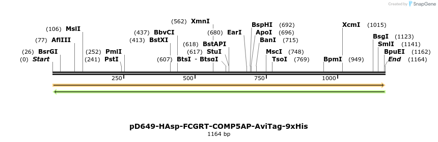 303878_map
