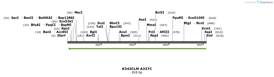 30388_map