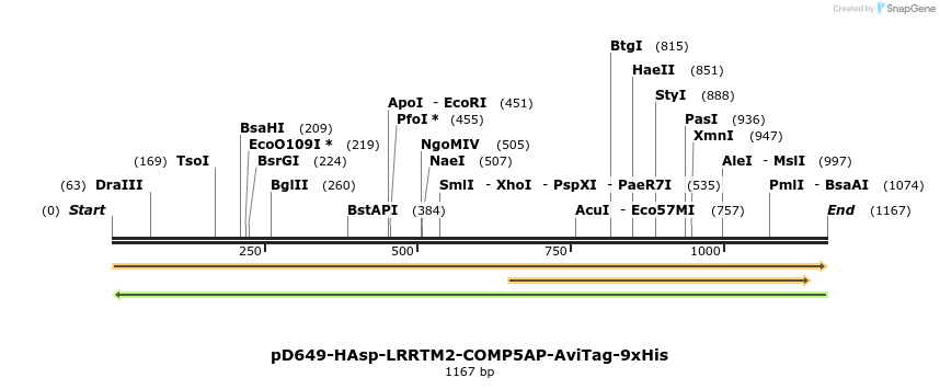 303880_map