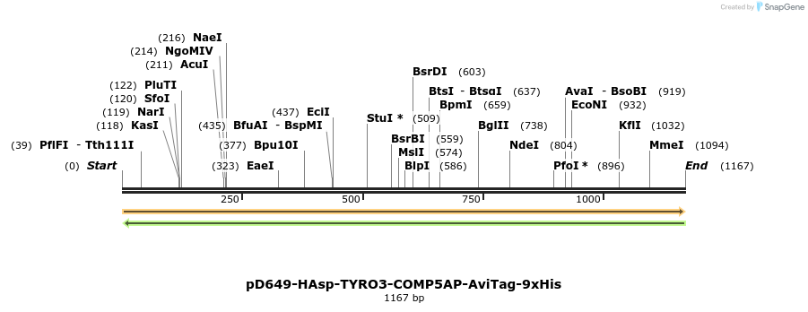 303882_map
