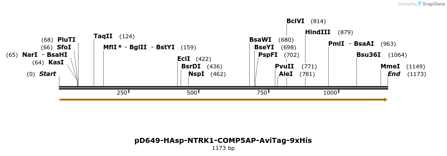 303884_map