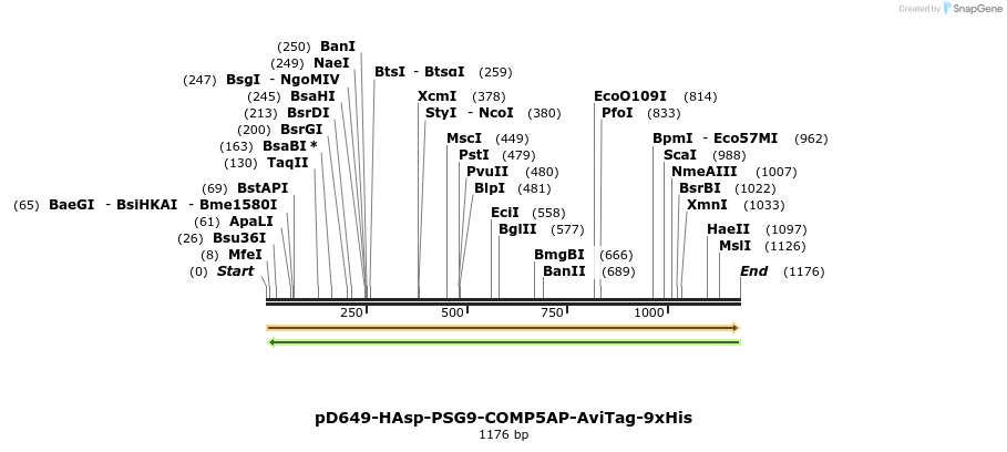 303886_map