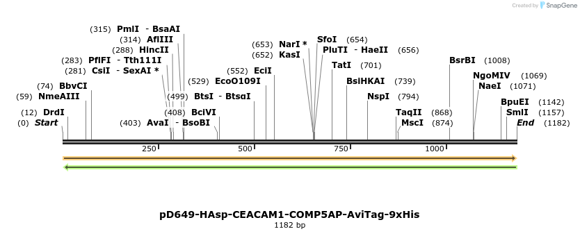 303890_map