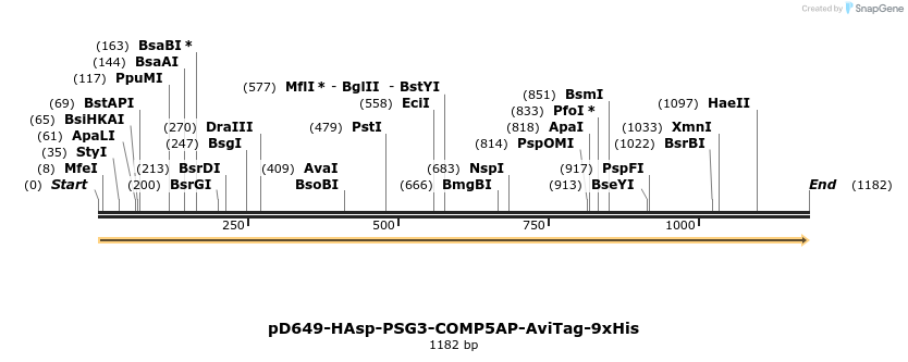 303892_map