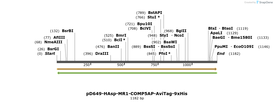 303894_map