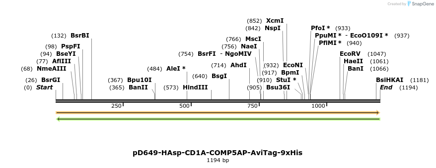 303898_map