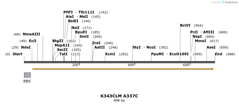30390_map