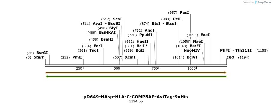 303900_map