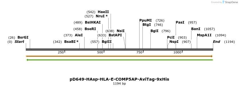 303902_map