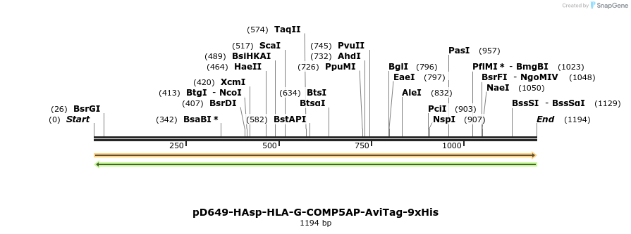303904_map