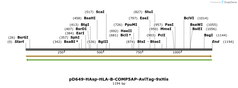 303908_map