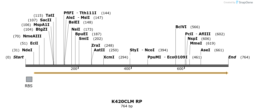 30391_map