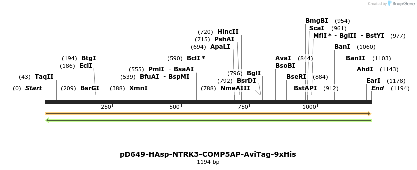 303910_map