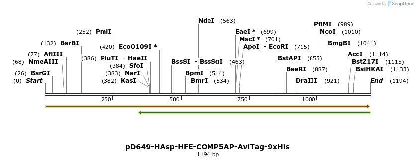 303912_map