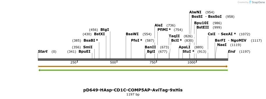 303914_map