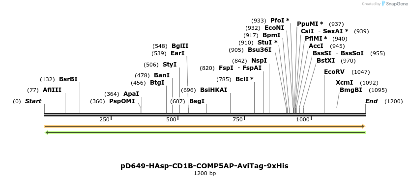 303918_map