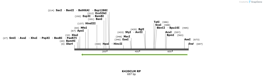 30392_map