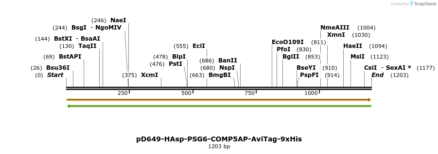 303920_map