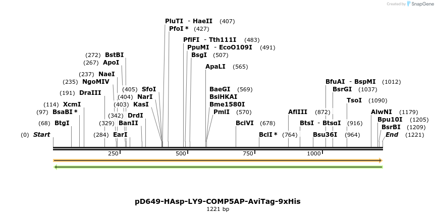 303924_map