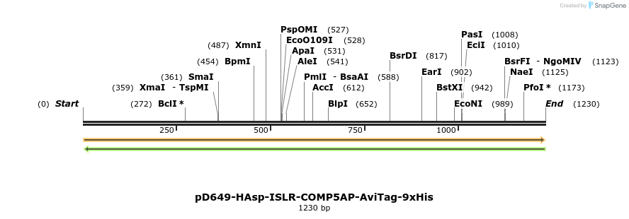303926_map
