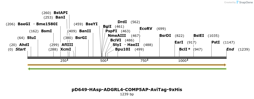 303928_map