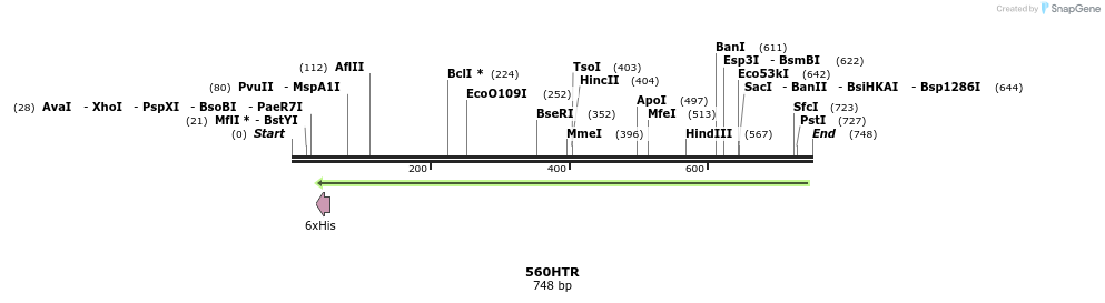 30393_map