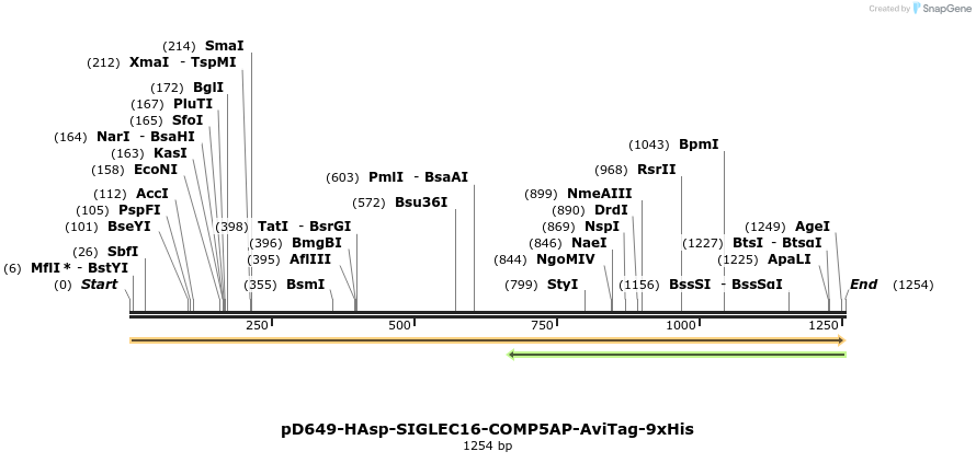 303932_map