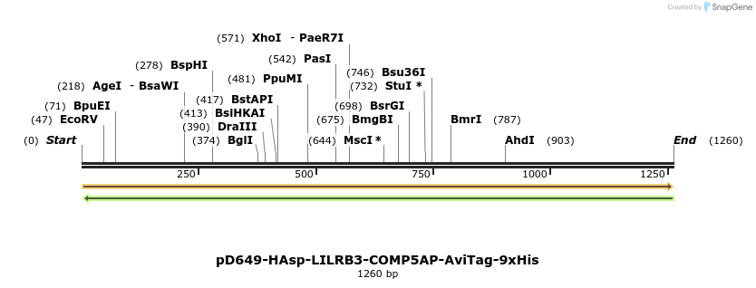 303934_map
