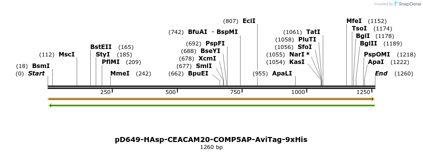 303936_map