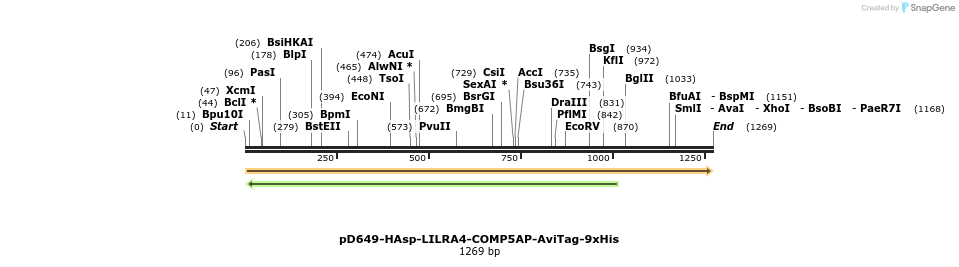 303940_map