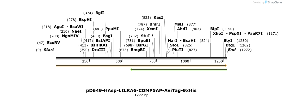 303942_map