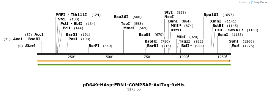 303946_map