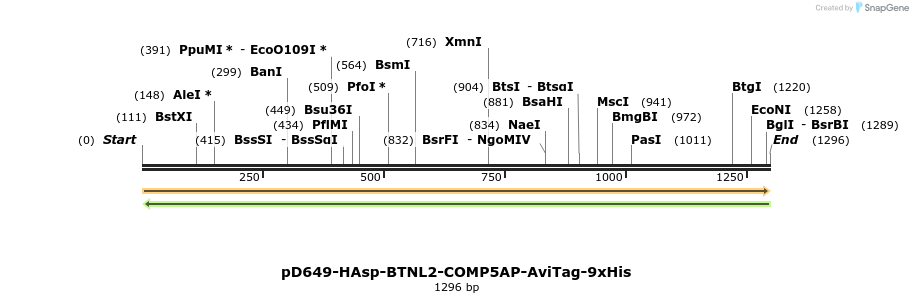 303952_map