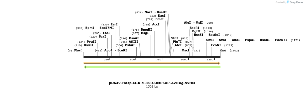 303954_map
