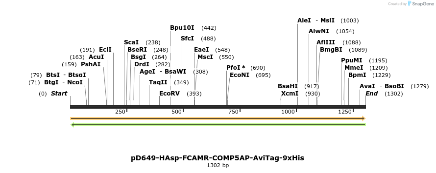 303956_map