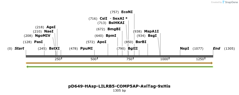 303958_map