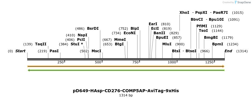 303960_map
