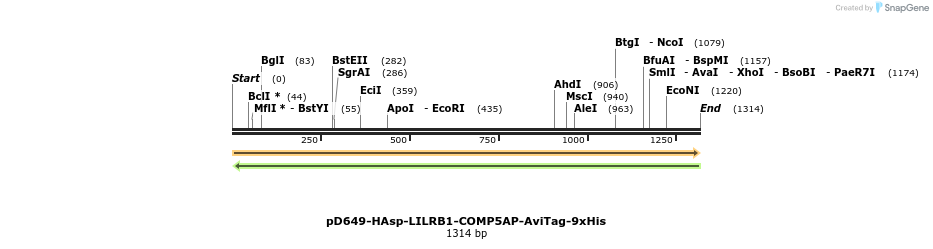 303962_map