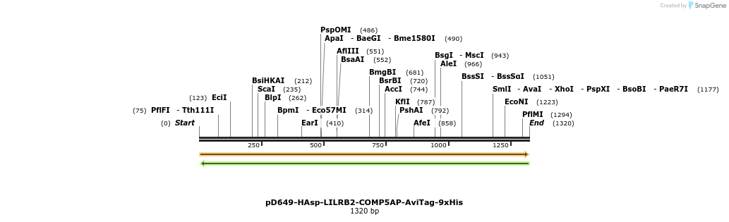 303964_map