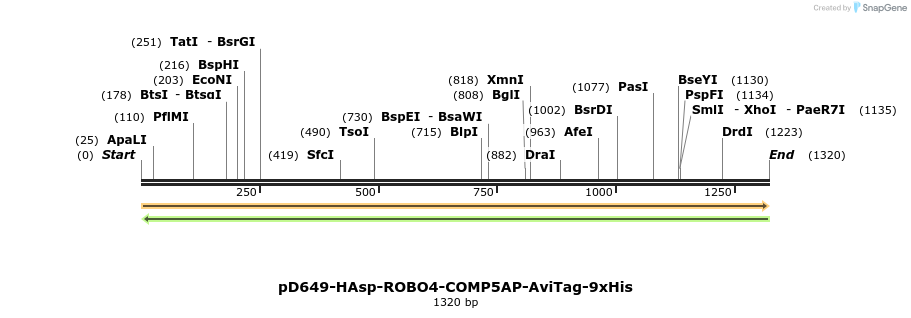 303966_map