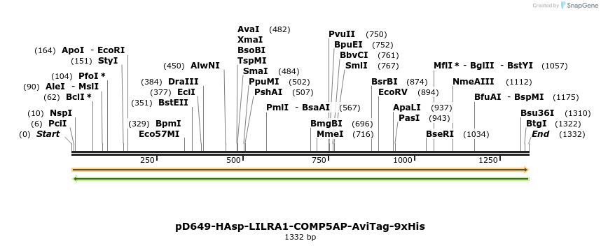 303970_map