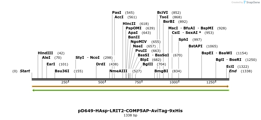 303972_map
