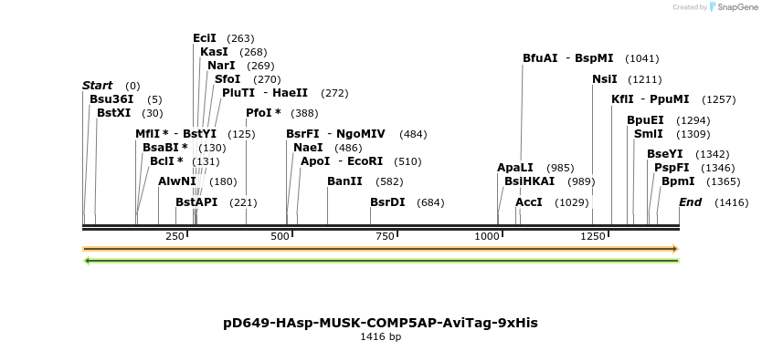 303986_map