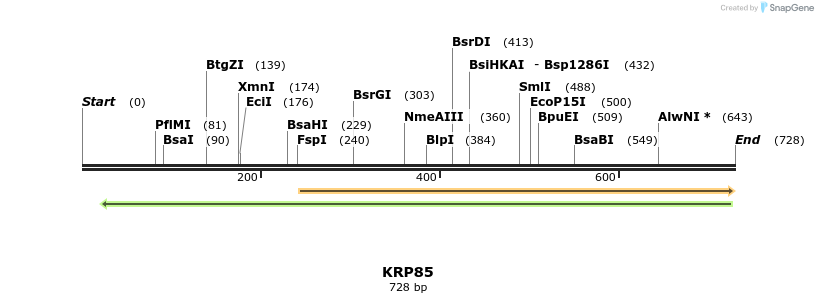 30399_map